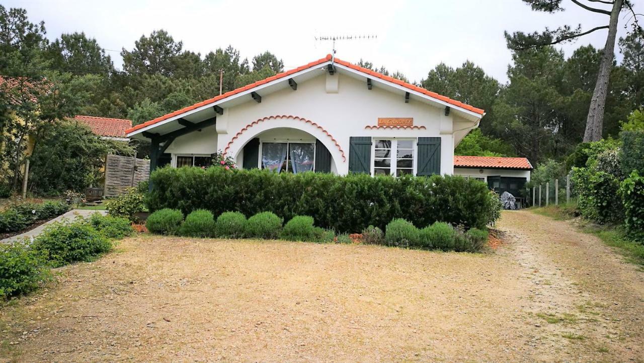 La Canopee Mimizan-Plage Dış mekan fotoğraf